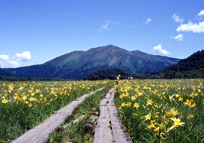Chiêm Ngưỡng Vườn Quốc Gia Oze Tuyệt Đẹp Ở Gunma - Sugoi | Trang Tin Tức  Nhật Việt