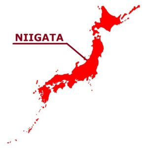 Niigata: Youths Perform Stick-Fighting at Shrine Festival near Mt. Myoko -  The Japan News